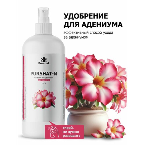 ���� ��������� ��� �������� ����� ������-� 0,5 �, ������ �� 539 ���