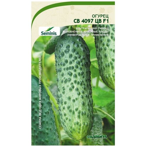 ���� ������ ������ �� 4097 �� F1 5�� �������� (3 ������), ������ �� 480 ���