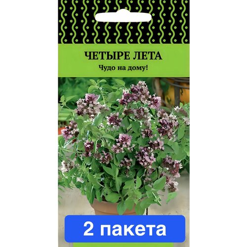 ���� ������ ������ � ��������� ����� 