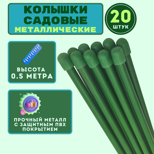       ,     (20 .  0,5, D10).      -,   1020 