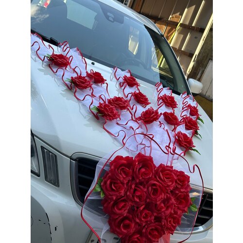 ���� ����� ��� ���������� ���� 