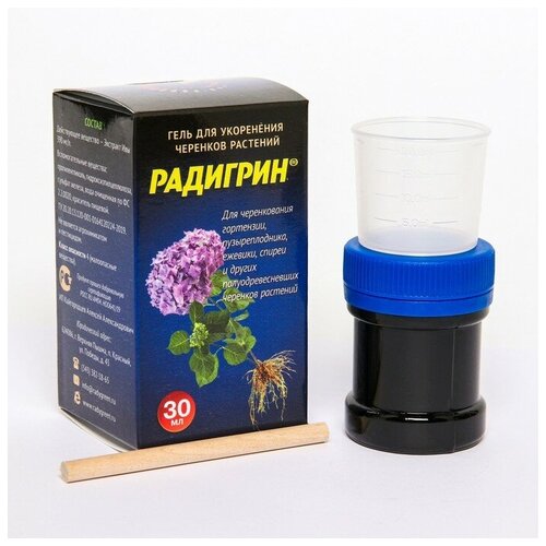 ���� ����������� ��� �������� � ������������ ����������� 