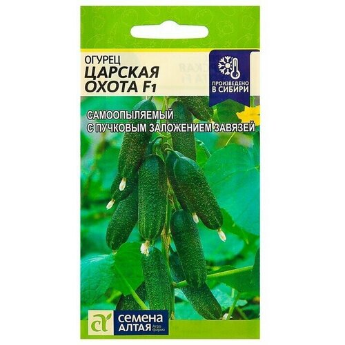 ���� ������ ������ 