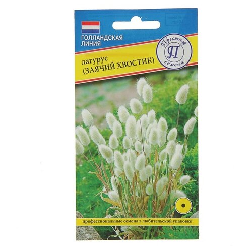 ���� ������ ������� ������ ������� ������ �������, ������ �� 214 ���