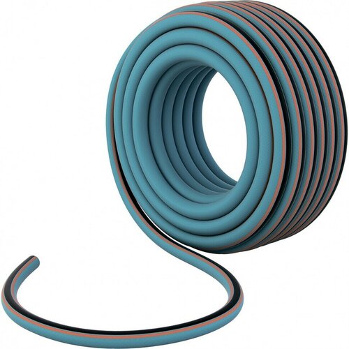 ���� ����� ���������� ������������, 3/4