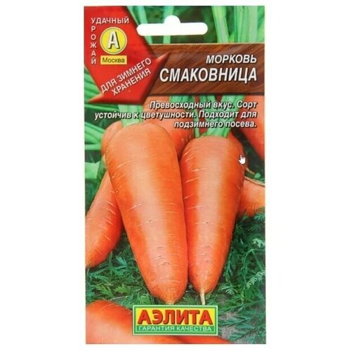 ���� ������. ������� 