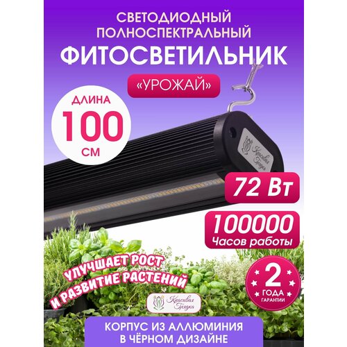 ���� ��������� ��� �������� � ������� 