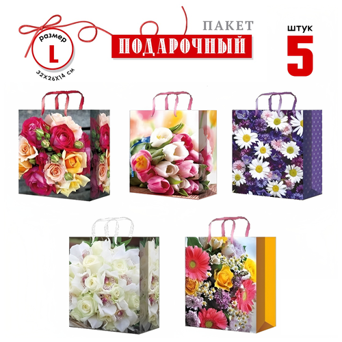 ���� ���������� ������ 