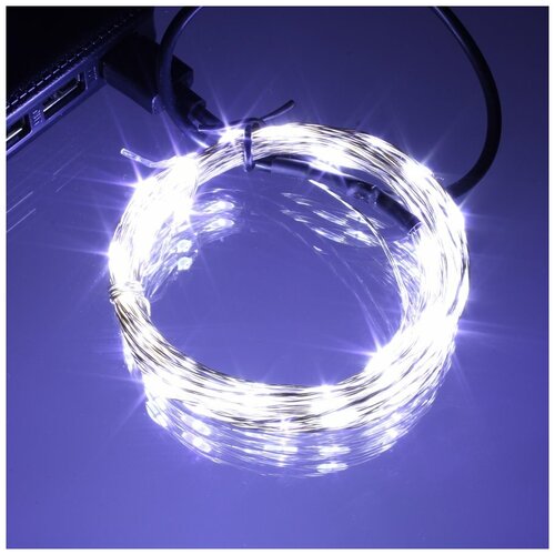 ���� �������� 