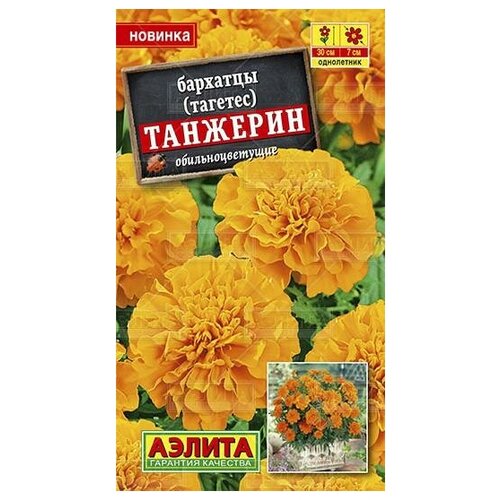 ���� ������. �������� (�������) 