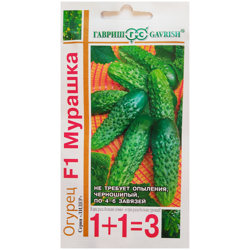 ���� ������ ������ ������� F1, 20 �����, ������ �� 165 ���