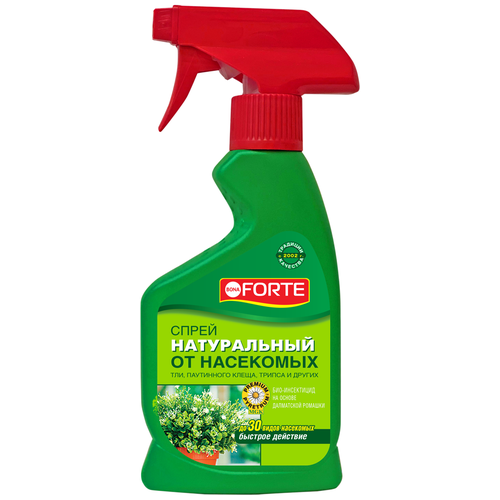 ���� BONA FORTE ����������� ����� �� �������� � ��������� ���������, 250 ��, 250 �, ������ �� 590 ���