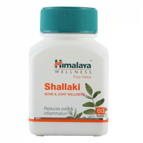 ���� Shallaki, 60 �, 60 ��., ������ �� 503 ���