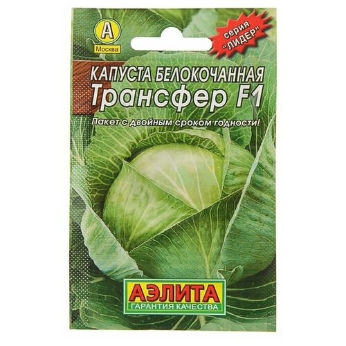 ���� ������ ������� ������������ 