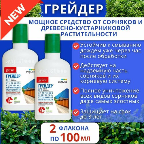 ���� �������� �� �������� 