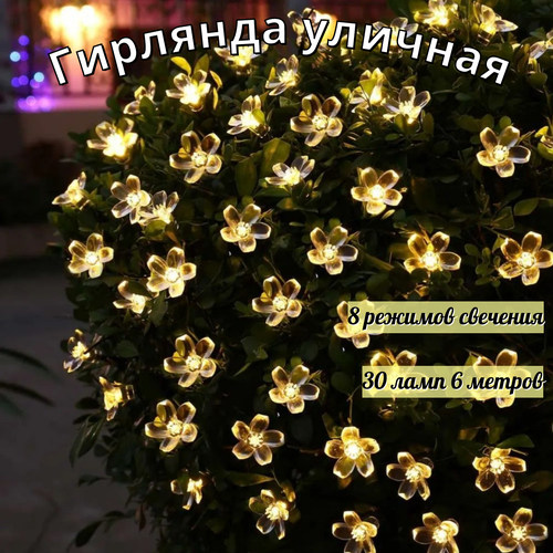 ���� ������������ �������� �� ��������� ������� 30 ���� 6,5 �����, ������ �� 790 ���