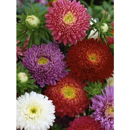 ���� ������ ����� �������� �����, ������ �� 163 ���