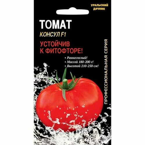 ���� ������ ����� ������ F1, ������������, �����������, ���� 12��, ������ �� 51 ���