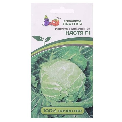 ���� ������ ������� ������������ 