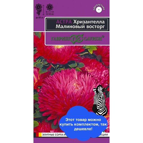 ���� ������ ������ 