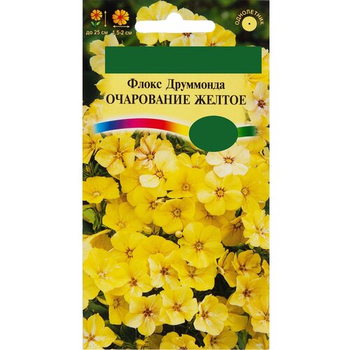 ���� ������ ������ 