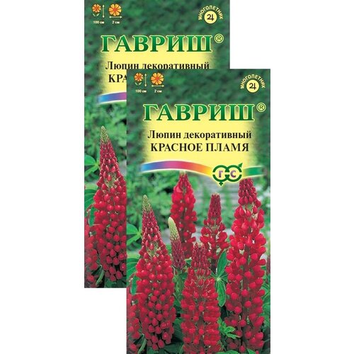 ���� ����� ������� ����� (0,5 �), 2 ������, ������ �� 239 ���