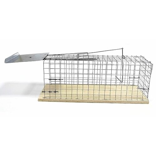 ���� ����������-������, � ������������� ������, ������ 285x95x115 ��. ��������� ��� ����� � �������� ��������. ����������� ����, �� ����, ����� � ��������� ����������., ������ �� 2145 ���