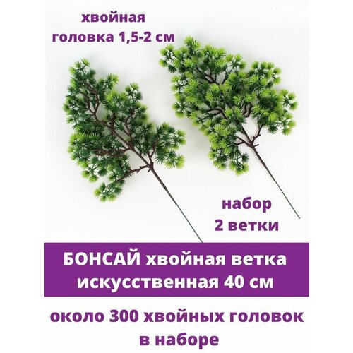 ���� ������, �������/������ ����� �������������, ����� ������, ��������������, ����� 2 �����, 40 ��, ������ �� 517 ���