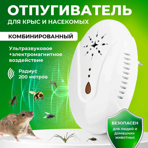 ���� ������������ ��� �������� � ��������� ��������������, ������������ �����, ������������ ��������, �����, ������ �� 430 ���