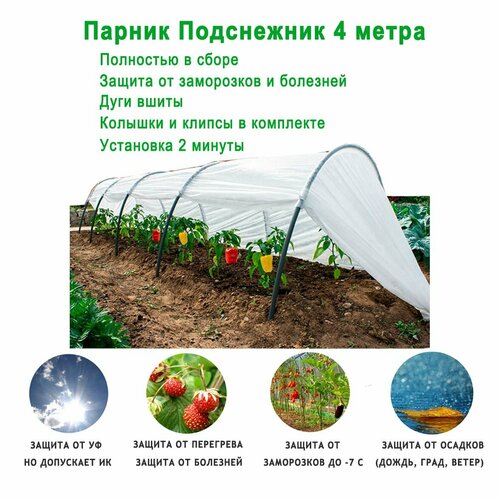 ���� ������ ������� ���������� ������������, 4 ����� / ������ ��� �������, ������ �� 1450 ���