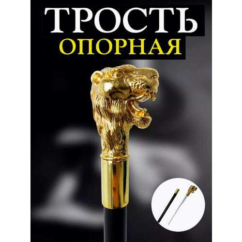 ���� ������ ��� ������ � ������� ����������(������ ����), ������ �� 2800 ���