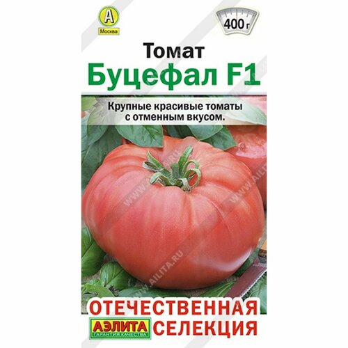 ���� ������ ����� ������� F1 (������) 20�� ������������� ��������, ������ �� 76 ���