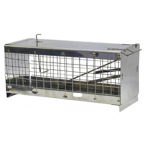 ���� ���������� ������ ������+�����, ������ �� 999 ���