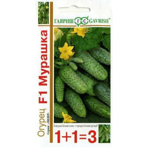 ���� ������ ������ ������� F1 20�� ������������������ ������ (������) 1+1, ������ �� 122 ���