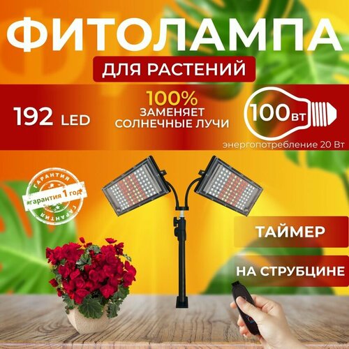 ���� ��������� ��� ����������� �������� ������� ������ ������, �������������� ������������ �� ������������ �������, ����� 2 ���������� ��� ������, �������������� ������, ������, ������ �� 4200 ���