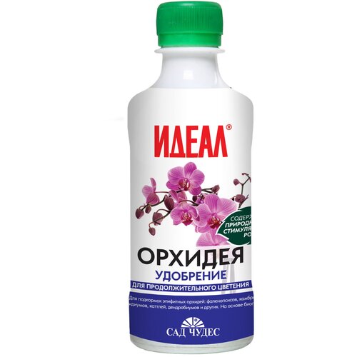 ���� ������� (0.25 �) ��������� ������ ������������ ����������� ��������, ������ �� 413 ���