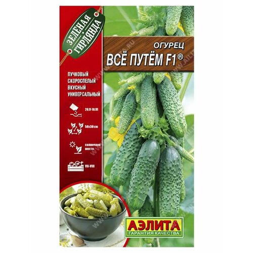 ���� ������. ������ 