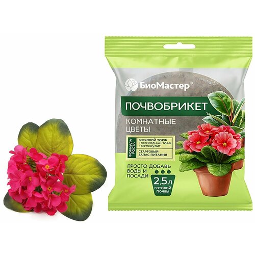 ���� ����������� ��������� 