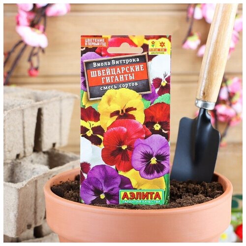 ���� ������ ������ ����� 