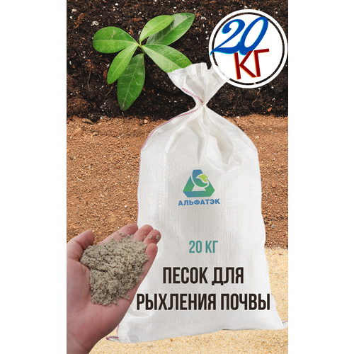 ���� ����� ��� �������� ������ (�����), ��� ����������, ��� �������� (������, ����� � ��.), ����� 20 ��, ������ �� 2199 ���