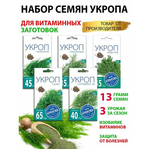 ���� ����� ����� ������ 5 ������, ������ �� 280 ���