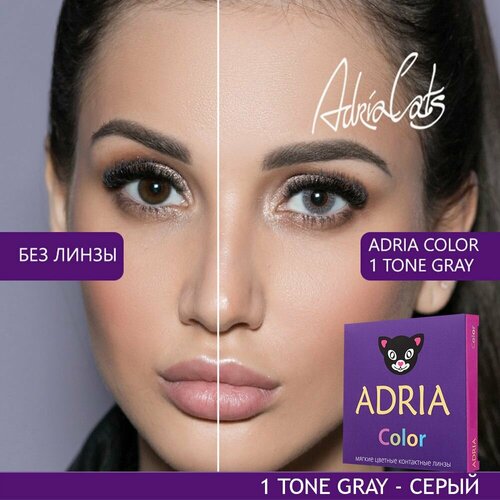 ���� ���������� ����� ADRIA Color 1 tone, 2 ��., R 8,6, D -8,5, gray, 1 ��., ������ �� 1380 ���