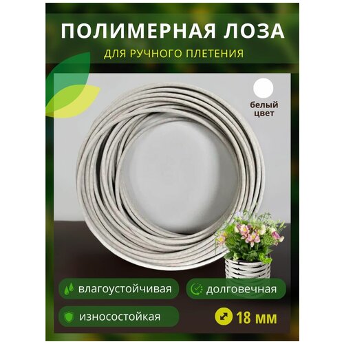 ���� ���������� ���� � �����, ������� 18��, 200�, �����, ������ �� 15900 ���