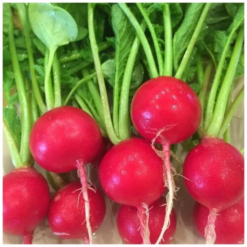 ���� ������������� ������ ������ ������� F1, ������ �� 104 ���