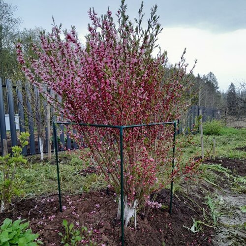    1000550      ,   949 