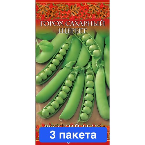 ���� ������ ������ ������ 