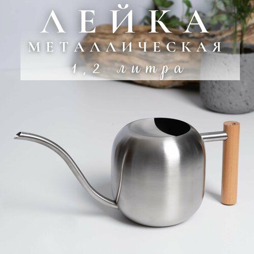 ���� ����� ��� ������ ������������� 1,2 �����, ������ �� 2300 ���