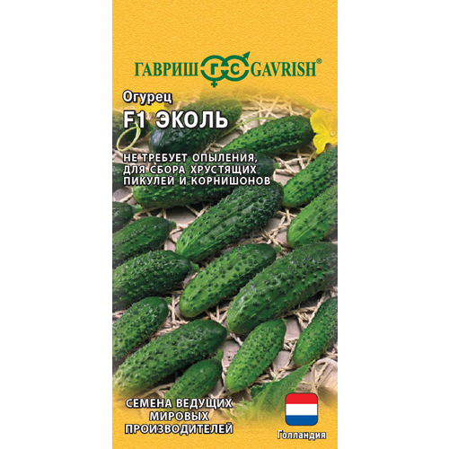 ���� ������ ������ ����� F1 5�� ������������������ (������), ������ �� 119 ���