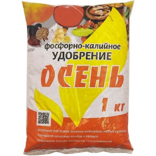 ���� �������-��������� ��������� 1 �� 