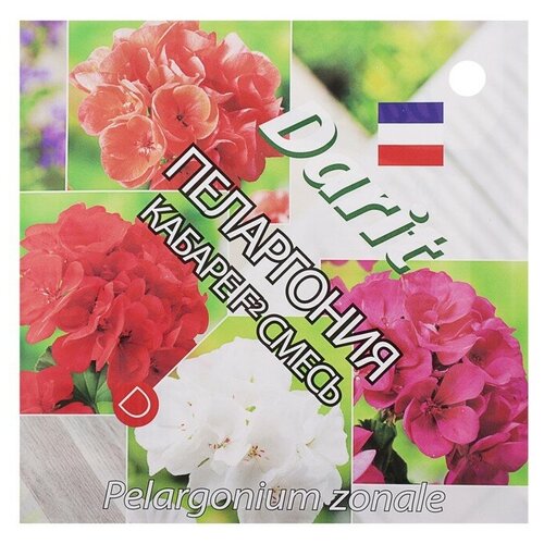 ���� ������ Darit ���������� ������ F2 ����� 4 ��., ������ �� 115 ���